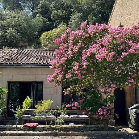 De Pont Du Gard Villa *